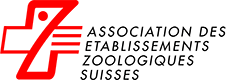VZFS Logo